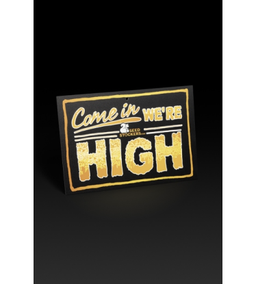 🚪 Türschild | „Come In We’re High“ | Shop bei Seedstockers.de 🐿️