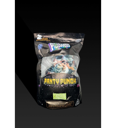 Panty Punch pillow