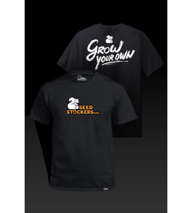 🖤 Schwarzes T-Shirt | Seedstockers Streetwear | Shop bei Seedstockers.de 🐿️