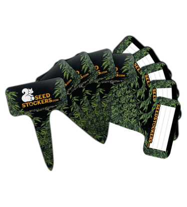 🏷️ Pflanzenetiketten | Set mit 10 Stück | Shop bei Seedstockers.de 🐿️