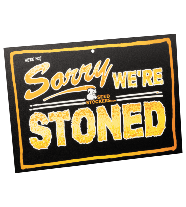 🚪 Türschild | „Come In We’re High“ | Shop bei Seedstockers.de 🐿️
