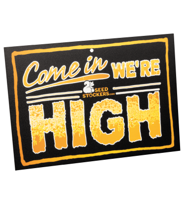 🚪 Türschild | „Come In We’re High“ | Shop bei Seedstockers.de 🐿️