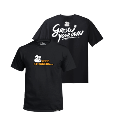 🖤 Schwarzes T-Shirt | Seedstockers Streetwear | Shop bei Seedstockers.de 🐿️