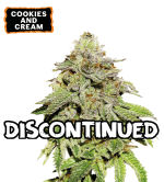 🪴 Cookies & Cream | Feminisierte Hanfsamen | Shop bei Seedstockers.de 🐿️
