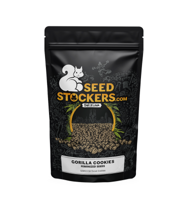 🪴 Gorilla Cookies | Feminisierte Hanfsamen | Jetzt shoppen auf Seedstockers.de 🐿️