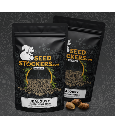 🪴 Jealousy Automatic | Hanfsamen Automatic | Shop bei Seedstockers.de 🐿️
