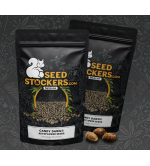 🪴 Candy Dawg© | Automatic Hanfsamen | Jetzt shoppen auf Seedstockers.de 🐿️