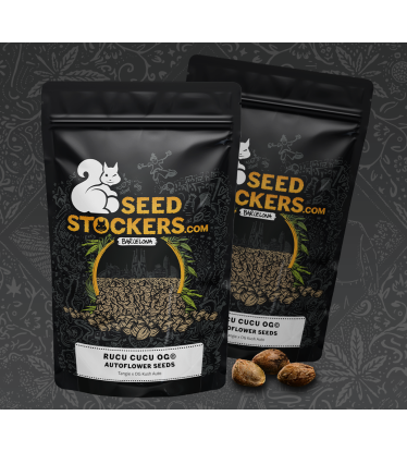 🪴 Rucu Cucu OG© | Automatic Hanfsamen | Jetzt shoppen auf Seedstockers.de 🐿️