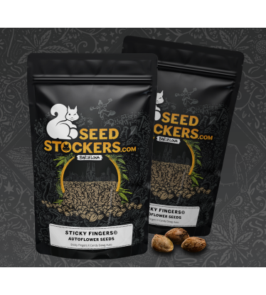 🪴 Sticky Fingers© | Automatic Hanfsamen | Jetzt shoppen auf Seedstockers.de 🐿️