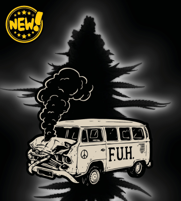 🪴 F.U.H (F*cked Up Hippy)© | Feminisierte Cannabissamen | Seedstockers.de 🐿️