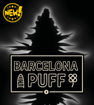 🪴 Barcelona Puff© Automatic Hanfsamen | Seedstockers.de 🐿️