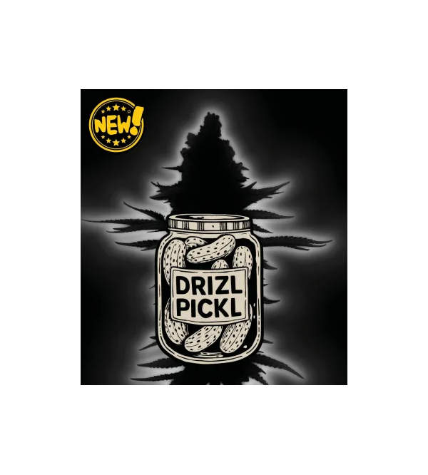 🪴 Drizl Pickl© | Autoflower Cannabis- & Hanfsamen | Seedstockers.de 🐿️