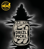 🪴 Drizl Pickl© | Autoflower Cannabis- & Hanfsamen | Seedstockers.de 🐿️