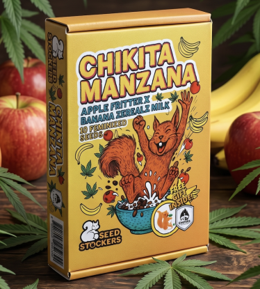🍏 Chikita Manzana | Limitierte Hanfsamen | Seedstockers.de 🐿️
