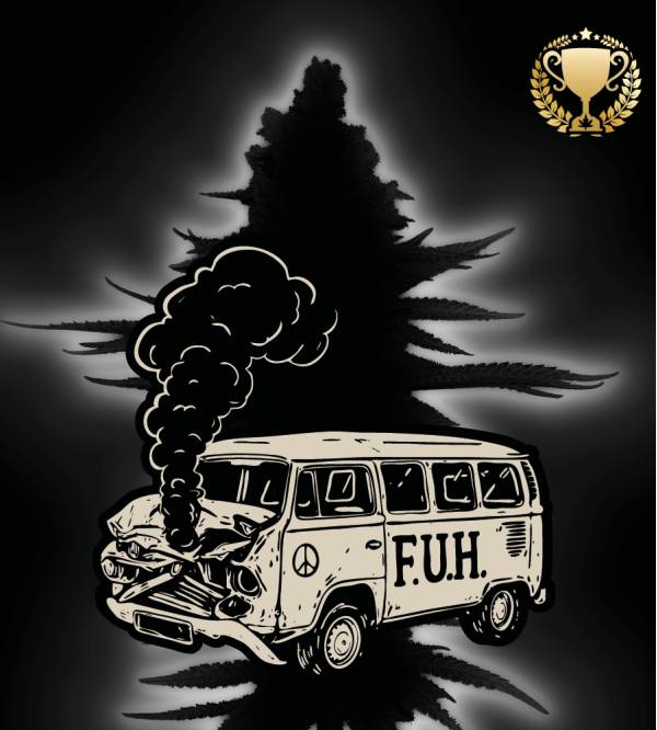 🪴 F.U.H (F*cked Up Hippy)© Autoflower | Cannabis Samen | Seedstockers.de 🐿️