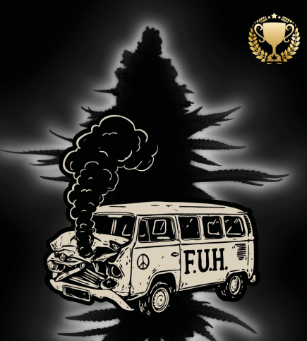 🪴 F.U.H (F*cked Up Hippy)© | Feminisierte Cannabissamen | Seedstockers.de 🐿️