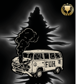 🪴 F.U.H (F*cked Up Hippy)© | Feminisierte Cannabissamen | Seedstockers.de 🐿️