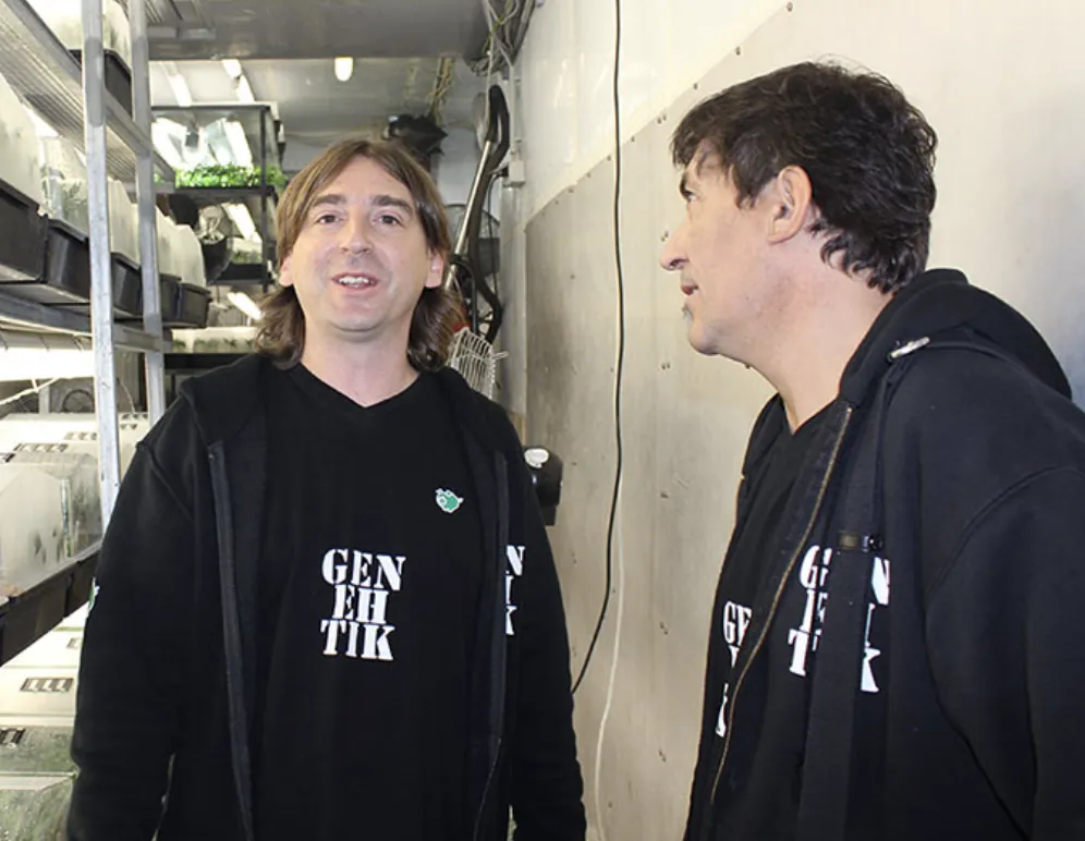 David und Albert von Genehtik Seeds
