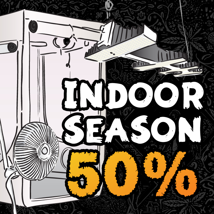 indoor season promotion